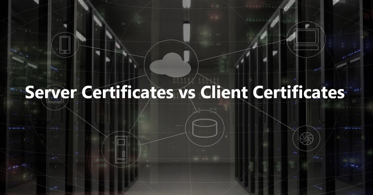 Server Certificates vs Client Certificates: What Are Their Differences?