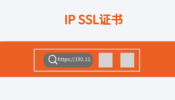为什么要为IP地址申请SSL证书?