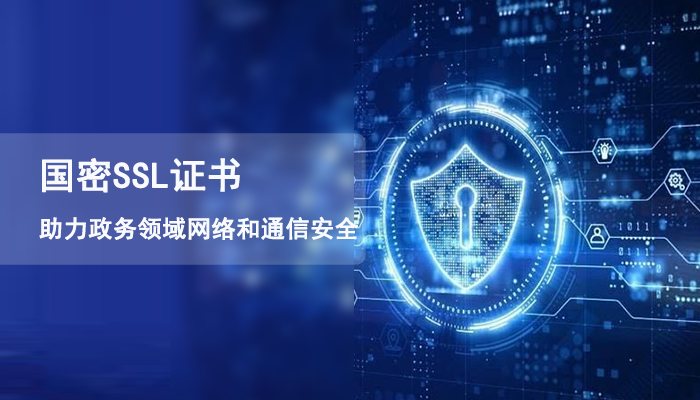 国密SSL证书助力政务领域网络和通信安全
