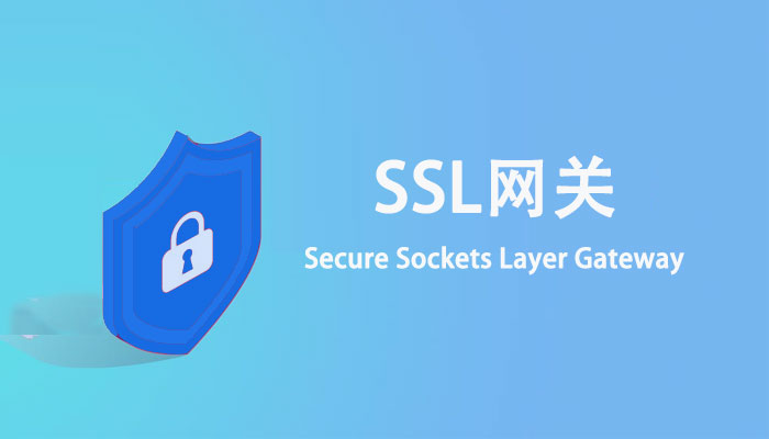 什么是SSL网关？它的工作原理是什么？有什么作用？