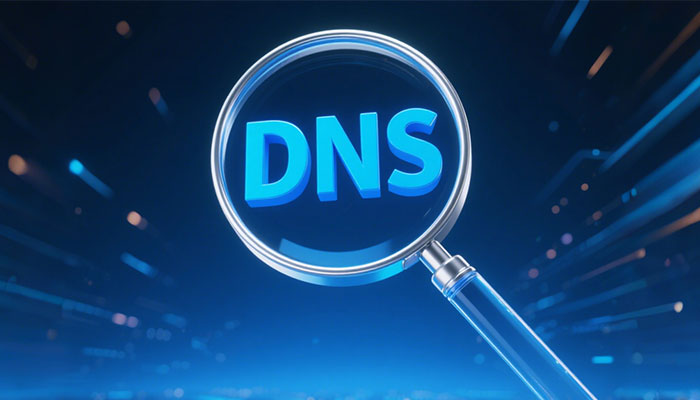 DNS解析查询：域名DNS解析如何查询？