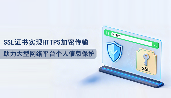 SSL证书实现HTTPS加密传输，助力大型网络平台个人信息保护