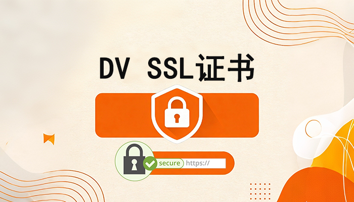 便宜快速申请的SSL证书类型—DV SSL证书