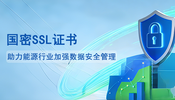 助力能源行业加强数据安全管理，国密SSL证书是关键手段